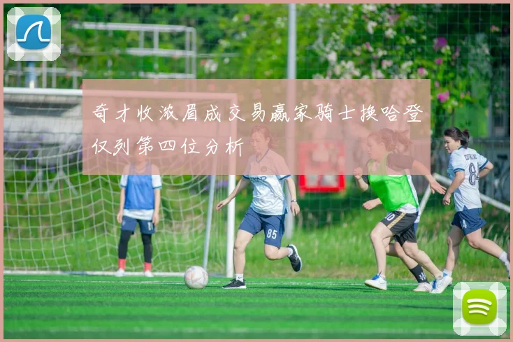 奇才收浓眉成交易赢家骑士换哈登仅列第四位分析